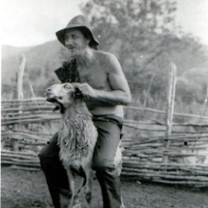 Image for 'Elomar'