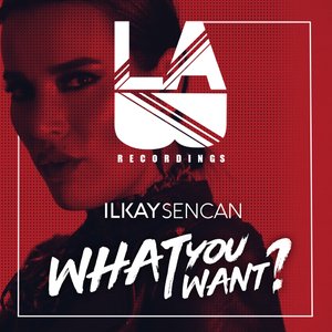 Image for 'What You Want'