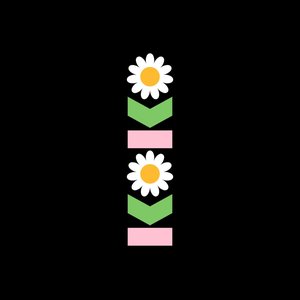 Image for 'KOKO'