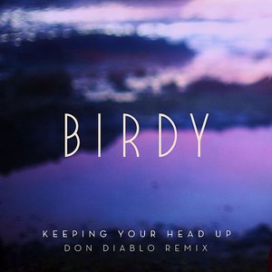 Image for 'Keeping Your Head Up (Don Diablo Remix; Radio Edit)'