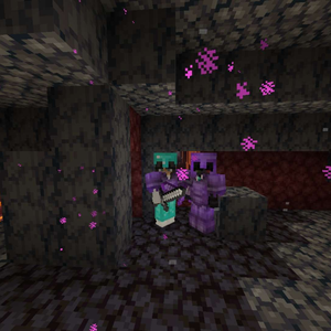 Voidxzs