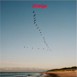 Image for 'Strange'