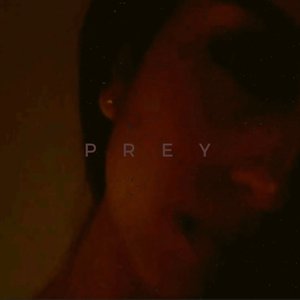 Image for 'PREY'