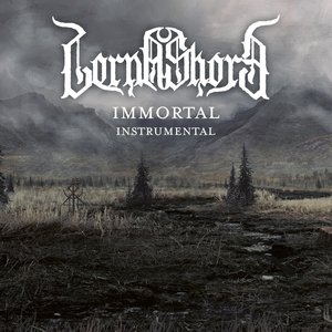 'Immortal - Instrumental'の画像