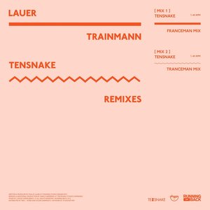 Immagine per 'Trainmann (Tensnake Remixes)'