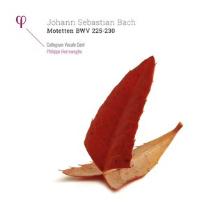 Imagen de 'Bach: Motetten, BWV 225-230'