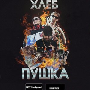 “Пушка”的封面