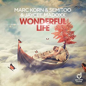 Image for 'Wonderful Life'