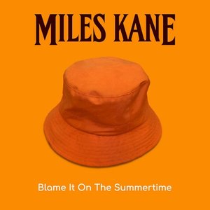 Image for 'Blame It On The Summertime'