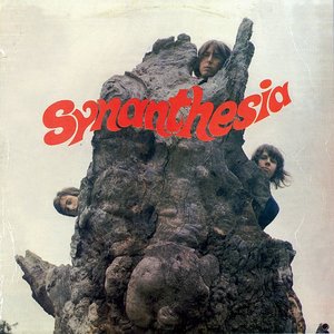 “Synanthesia”的封面