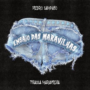 “ENSAIO DAS MARAVILHAS”的封面