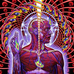 Image for 'Lateralus'