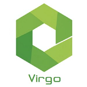 Image for 'Virgo'