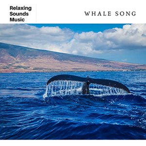 Image for 'Whale Song for Sleep'