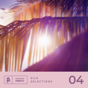 Image for 'Silk Selections 04'