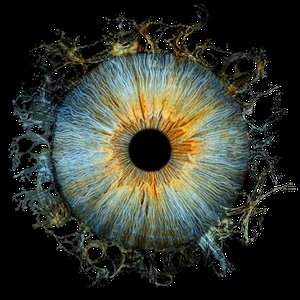 Bild für 'buscando la luz (deluxe)'