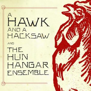 Image for 'A Hawk And A Hacksaw And The Hun Hangár Ensemble'