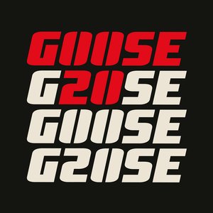 “G20SE”的封面
