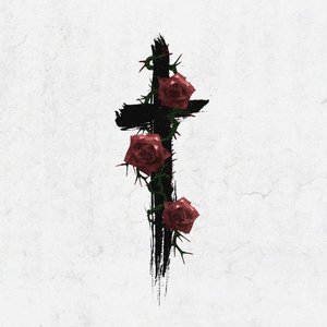 Image for 'Roses (Imanbek Remix)'