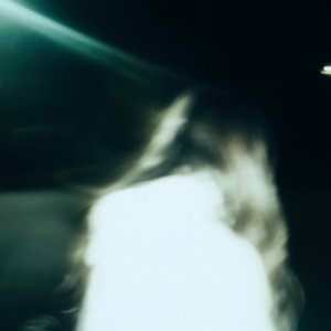 Image for '1991'