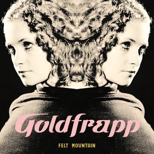 Immagine per 'Felt Mountain'