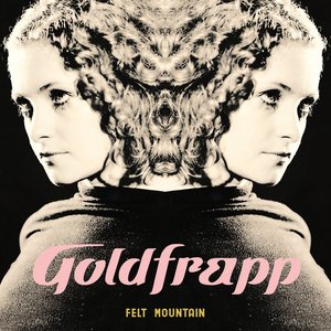 Image for 'Felt Mountain'