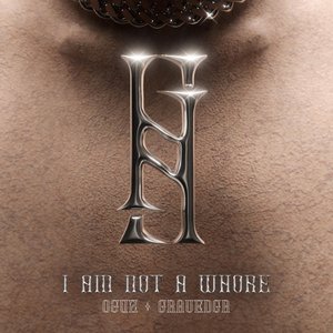 Image for 'I AM NOT A WHORE'