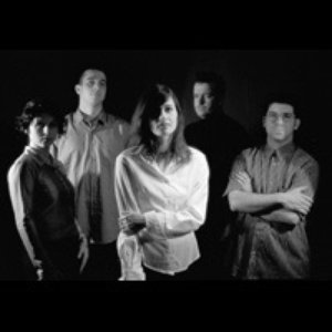 Image for 'String Forces'