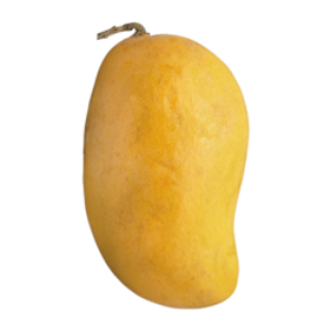 fiassro