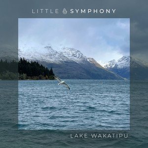 Immagine per 'Lake Wakatipu'