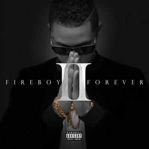 Image for 'Fireboy Forever II'