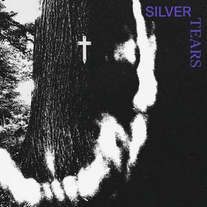 Immagine per 'Silver Tears'