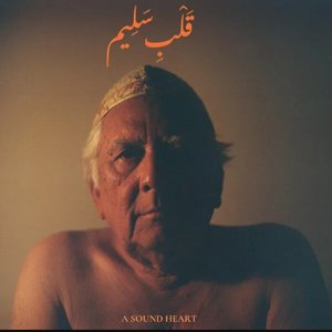 Image for 'A Sound Heart'