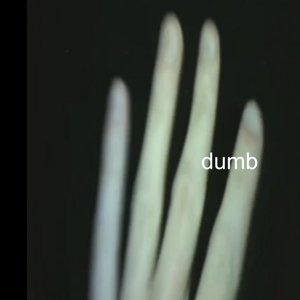 “dumb”的封面