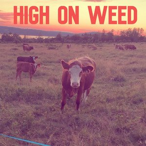 Image for 'High on Weed'