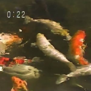 '０：２２'の画像