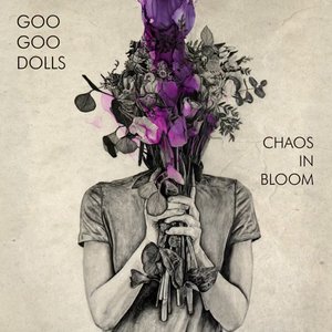 Image for 'Chaos In Bloom'