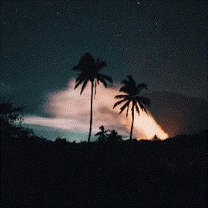 Image pour 'Can't Help But Worry (Every Night Every Day)'