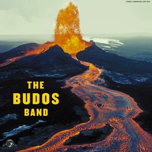 Immagine per 'The Budos Band'