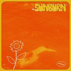 “sunburn”的封面