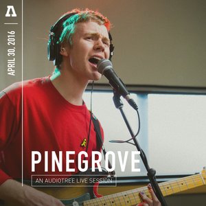 Image for 'Pinegrove on Audiotree Live'