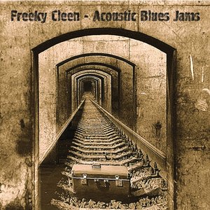 Image pour 'Acoustic Blues Jams'