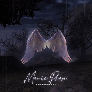 “Manic Phase”的封面