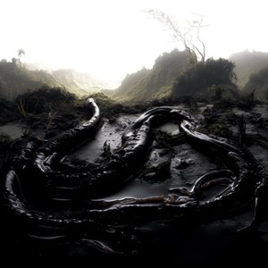 'Coágulo'の画像