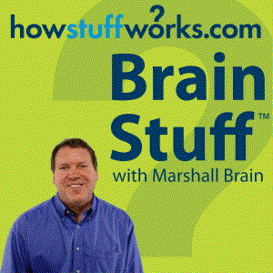 Image for 'BrainStuff'