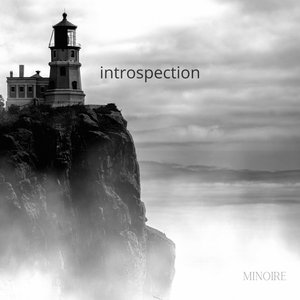 Image for 'Introspection'