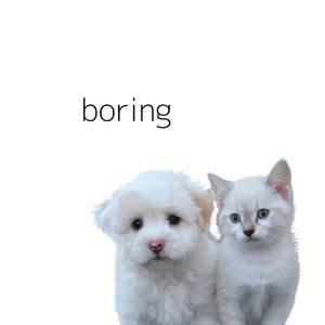 “boring”的封面
