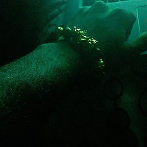 Imagem de 'Loosies'