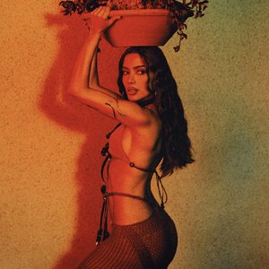 Image for 'Anitta'
