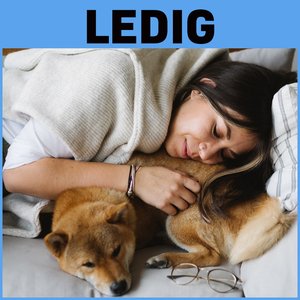 Image for 'Ledig'